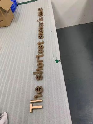 Χρυσή διαφήμιση 3D LED ηλεκτρονικές πινακίδες για το λογότυπο καταστήματος