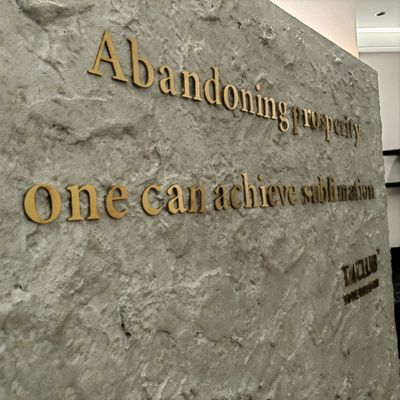 Προσαρμοσμένες εξωτερικές διαφημίσεις μετάλλου LED πινακίδες για προώθηση λογότυπου καταστήματος
